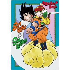 PSA10 ドラゴンボール　イタジャガ　孫悟空　3-31 sec PSA10 ドラゴンボール イタジャガ 孫悟空 3-31 sec イタジャガ