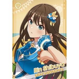 アイドルマスター アイドルマスターTOURSオフィシャル4ポケット