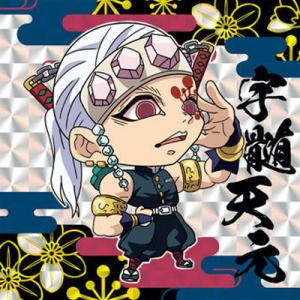 パラレル】ユニオンアリーナ UA35ST/OPM-1-110 シルバーファング