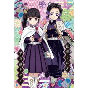 【鬼滅の刃】胡蝶しのぶ・栗花落カナヲセット BANDAI（バンダイ） 鬼滅の刃 ウエハース5 022 胡蝶 しのぶ 栗花落