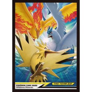 ポケモン　タイプファイターズセット ポケモン タイプファイターズセット 2025年最新】タイプ