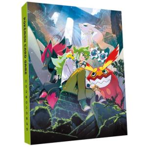 ポケモンカードゲーム 【ファイル単品】コレクションファイル N【宅配便のみ】