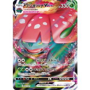 Pokemon ポケモンカードゲーム ディグダ（C