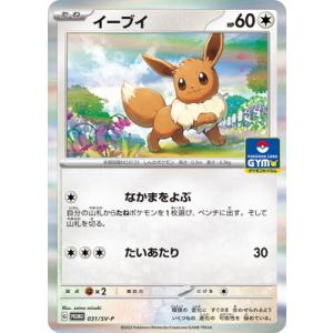15BBM 大相撲カード LEGEND 至宝 #33 寺尾 常史 : スポーツ