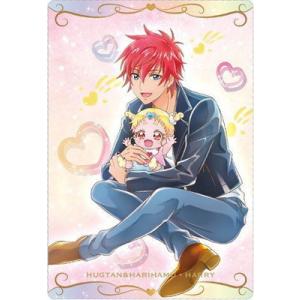 プリキュアカードウエハース No.17 はぐたん＆ハリハム・ハリー N