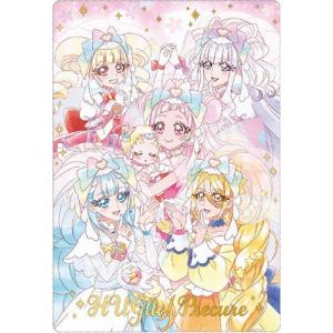 プリキュア ウエハース 6弾 HR キュアマシェリ キュアアムール Amazon.co.jp: Hugっと ウエハース HR キュアエール キュア