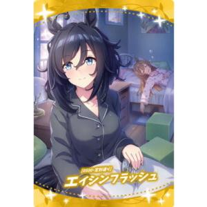 WSR2-19 ダイワスカーレット (キャラクターカード＜レア＞) 】ウマ娘