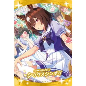 WSR2-19 ダイワスカーレット (キャラクターカード＜レア＞) 】ウマ娘