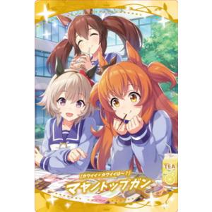 16】ヴァンガード DZ-SD06/001_16 満場一体 マリレーン (TD