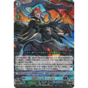 ヴァンガード 喚起の操獣師ライリー　SIR2枚セット ブシロード カードファイト!! ヴァンガード D-SS11/SIR23 喚起の