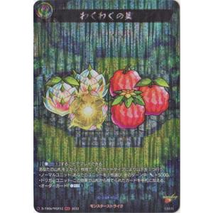 ブシロード ヴァンガード D-TB06／MSR02 厄災を祓いし「漁業神