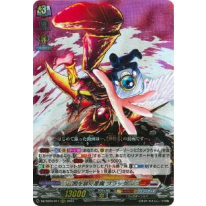 カードファイト!! ヴァンガード DZ-SS04/011　闇を暴く悪魔 ブラック　RRR