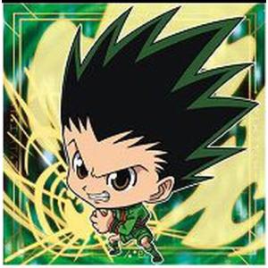 HH2-19 ゴン SR にふぉるめーしょんHUNTER×HUNTERウエハース.2