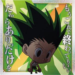 HH7-11 ゴン(裏面：イカリ×ト×ヒカリ) SR にふぉるめーしょん HUNTER×HUNTER...