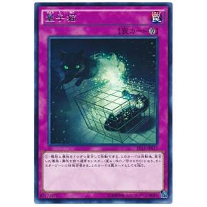 遊戯王 第9期 EP15-JP077　量子猫　R