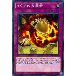 遊戯王オフィシャルカードゲーム デュエルモンスターズ 遊戯王カード