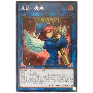 コナミデジタルエンタテインメント 遊戯王 第13期/LOCR-JP045 白銀の城