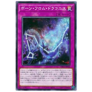 遊戯王オフィシャルカードゲーム デュエルモンスターズ 遊戯王カード