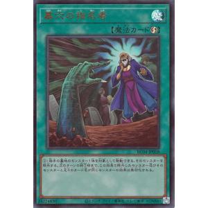 遊戯王オフィシャルカードゲーム デュエルモンスターズ 遊戯王OCG
