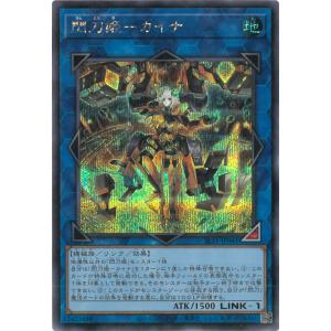 デュエル・マスターズ 王道W 邪龍 ジャジーブラッド(シークレットレア
