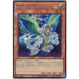 コナミデジタルエンタテインメント 遊戯王 中古ランクB(良い) ADDR