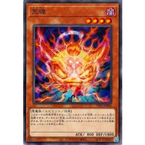 遊戯王 第13期/TT02-JPB06 荒魂の商品画像