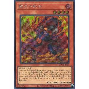 コナミデジタルエンタテインメント 遊戯王 第13期/LPST-JP001 ブラック