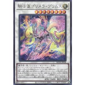 コナミデジタルエンタテインメント 遊戯王 第10期 12弾 ETCO-JP009