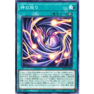 遊戯王 第13期/WPP6-JP008 神の怒り