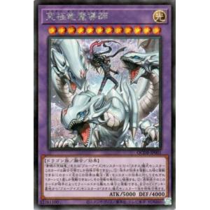 a173【ドラゴンクエスト モンスターバトルロード カード】 進化