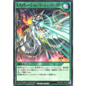 ブシロード ヴァンガード D-TB06／MSR07 三銃士の想いを宿すフランス王