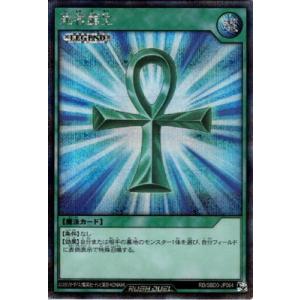 コナミデジタルエンタテインメント 遊戯王ラッシュデュエル RD/SD0F