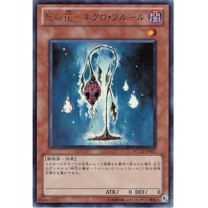 美品 遊戯王 トゥーン・ブラック・マジシャン・ガール シークレット G6-02 Amazon.co.jp: 【遊戯王】トゥーン・ブラック・マジシャン