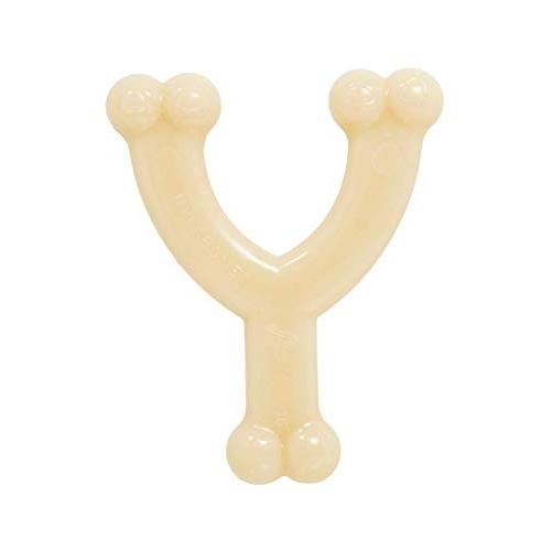 ナイラボーン イヌ用 (ウィッシュボーン)Y字 小(レギュラー) 【Nylabone】