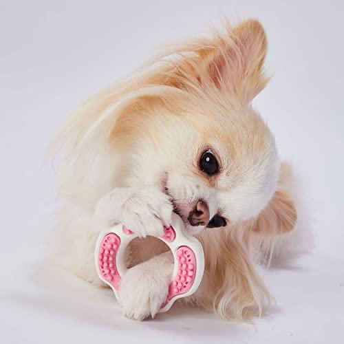 ペティオ (Petio) 犬用おもちゃ かんでるリングデンタル ハード 完熟いちごフレーバー