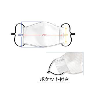 【翌営業日発送】鬼滅の刃 マスク 再入荷!6種...の詳細画像4
