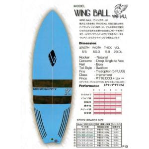 スキムボード関連グッズ ボードケース Victoriaデラックスバッグ