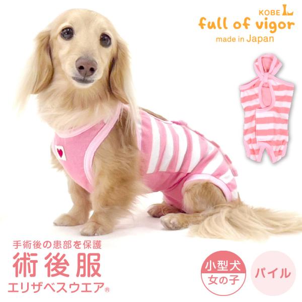 エリザベスカラー の代わりに 犬 服 冬 秋 パイル ボーダー 術後服 エリザベスウエア(R) 女の...