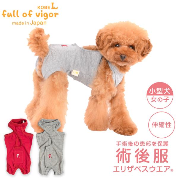 エリザベスカラー の代わりに 犬 服 冬 秋 伸びて 着せやすい F. ベア天竺 術後服 エリザベス...