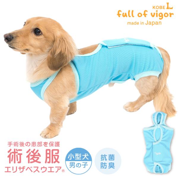 エリザベスカラー の代わりに 犬 服 冬 秋 術後服 エリザベスウエア(R) 男の子 ダックス 小型...