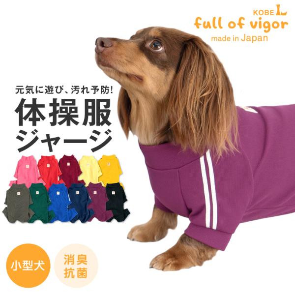 ドッグプレイ(R)体操服ジャージつなぎ(ダックス チワワ トイプードル 小型犬用)【ネコポス値3】犬...