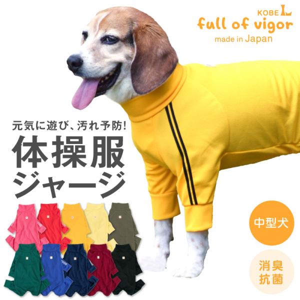 ドッグプレイ(R)体操服ジャージつなぎ(中型犬用)【ネコポス値3】犬の服 洋服 ペット ドッグ ウェ...