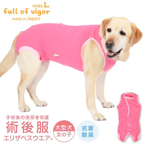 エリザベスカラー の代わりに 大型犬 服 冬 秋 大型犬用 術後服エリザベスウエア(R) 女の子 抗...