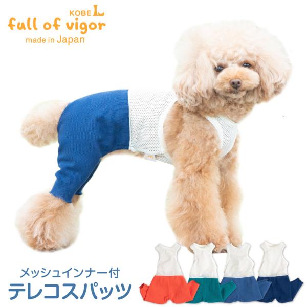犬 服 夏 メッシュ インナー付 テレコ スパッツ ダックス 小型犬用 抜け毛対策  パンツ ずれな...