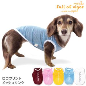 犬 服 アンダーウェア(肌着) ミニチュアダックスタイプ フルスーツ