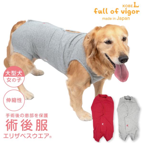 エリザベスカラー の代わりに 大型犬 服 冬 秋 大型犬用 伸びて 着せやすい F. ベア天竺 術後...