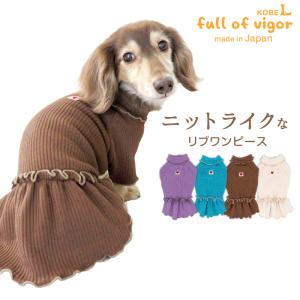 ハロウィンコスチューム ラグランTシャツ半袖 犬 小型犬 可愛い