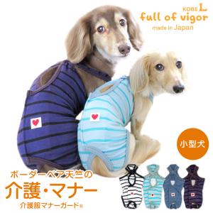 ズレない 脱げない 漏れない 犬 服 冬 秋 ボーダー ベア天 介護服マナーガード(R) ダックス 小型犬用 介護 マナーパンツ