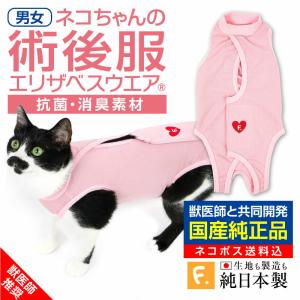 送料込 エリザベスカラーの代わりになる 動物病院と共同開発