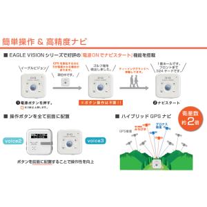新品★朝日ゴルフ★EV-803 Type V★...の詳細画像2